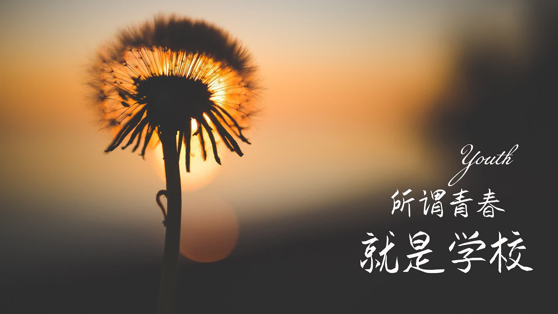 世界乒乓球金秋赛季：赛程安排更注重选手恢复，2022世界乒乓球锦标赛时间